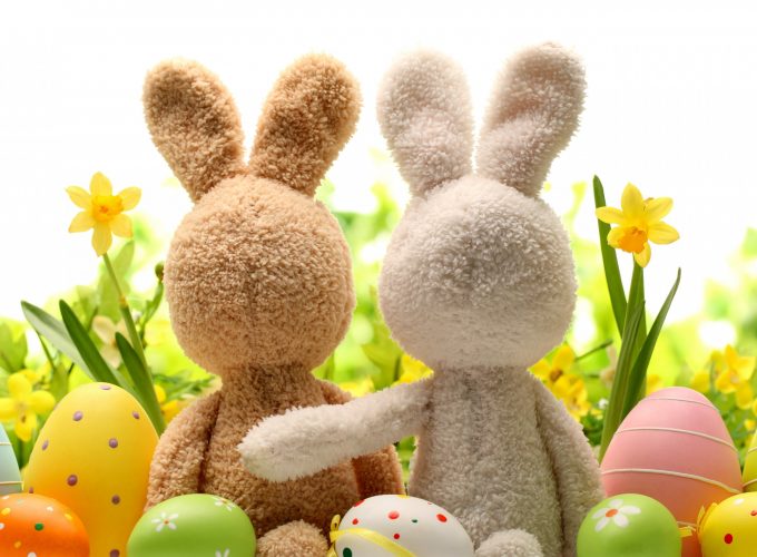 Wallpaper Easter, eggs, flower, rabbit, 5k, Holidays 2928817116